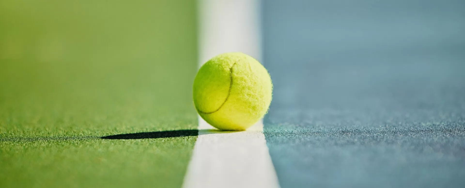 Dành cho chuyên gia và nghiệp dư